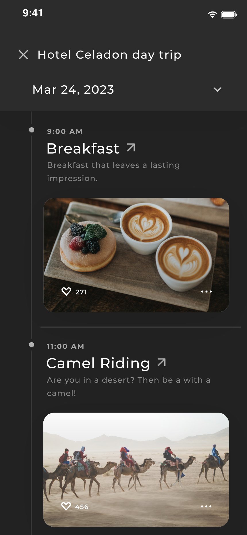 Day plan — hour by hour